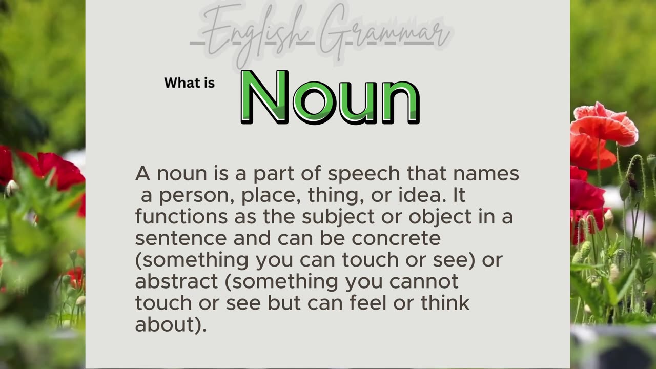 Understanding Noun, Definition and Examples