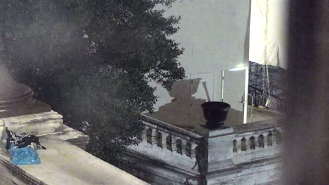 Camera0925USCG00UpperTerraceWest_2021-01-06_Starting_at_21h14min28s130ms.mp4
