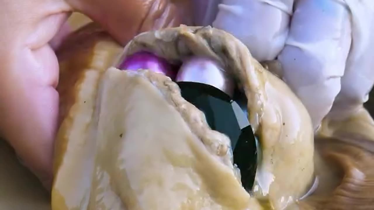 Gem stone found in Oyster shell