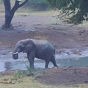 Let’s breathe into nature together and love ourselves today 🙏