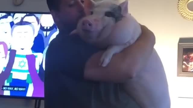 WhenDadcouldstillholdPenny#fyp#pig