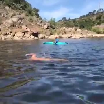 Eduardo Madeira faz travessia do Tejo a nadar. Tudo derivado a uma promessa.
