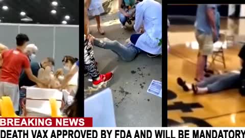 Vaxxx Approved? Of course they approved it!