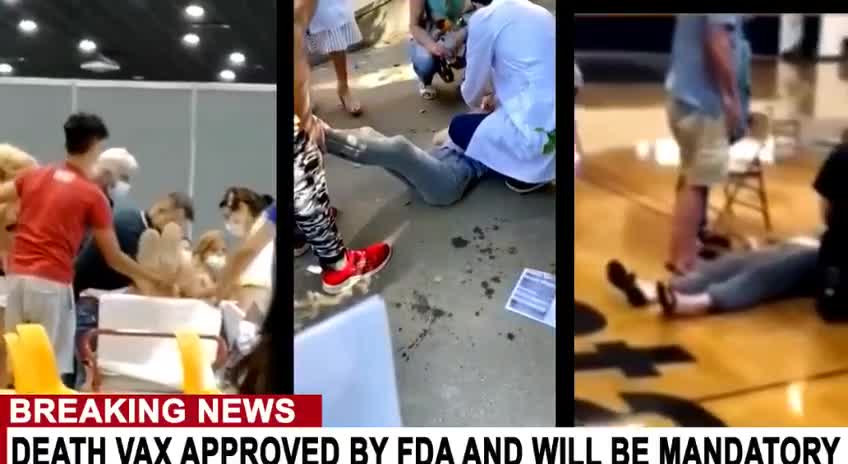 Vaxxx Approved? Of course they approved it!