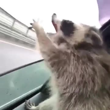 Is he catching something invisible in the air?