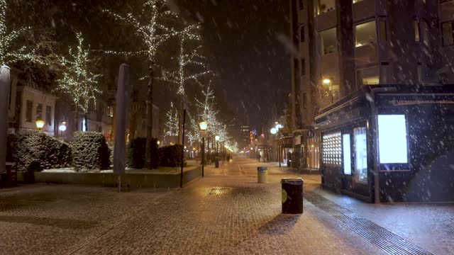 Caminando en la ciudad mientras nieva