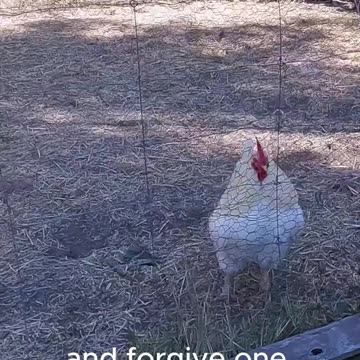 Cause Jesus to Rejoice