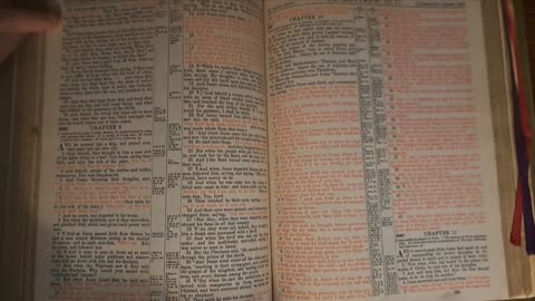Matthew 8
