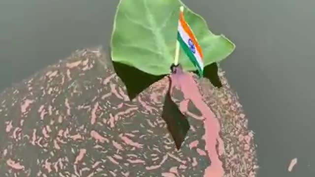 Indian flags floats on water