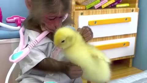 Monkey Doctor helps Duckling trapped in a storm.