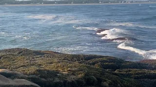 Relaxing on the coast of Maine