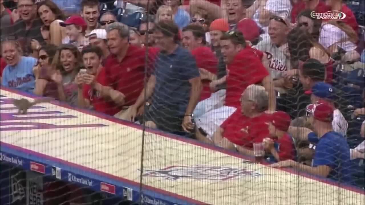 MLB- Animal Interference