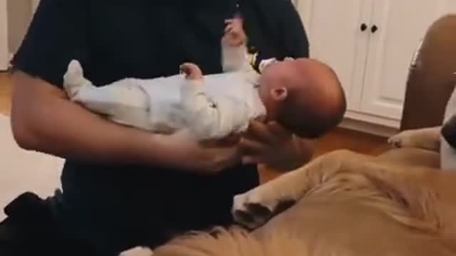 Cute Baby Denies Papa's Hold and Want To Go Back To His Dog