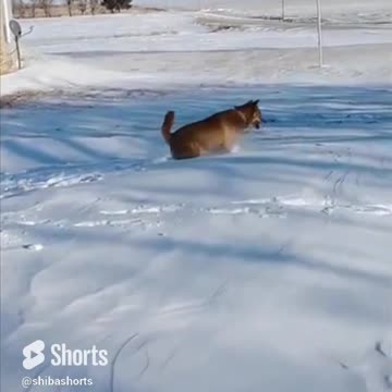 when you find out how hard it is to run in snow