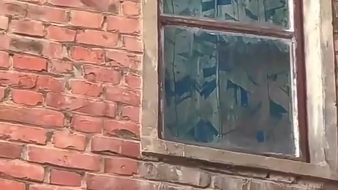 Super mother kittens motivating