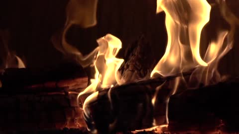 Bonfire of the Vanities