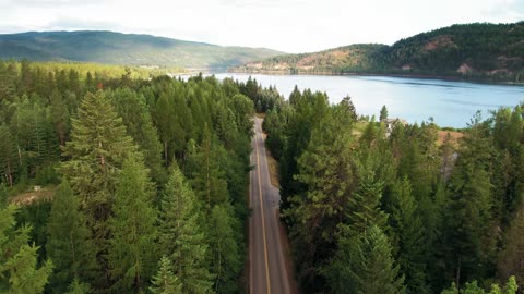 Beautiful road in between beautiful trees