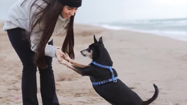 Funniest and cutest beautiful dog training #11