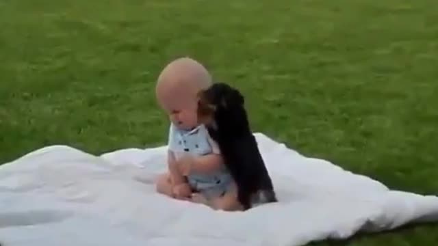 Babies and dogs are best of friends