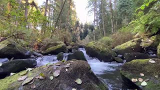 Classical Music to Relax and Study relaxing nature sound river birds singing Beethoven