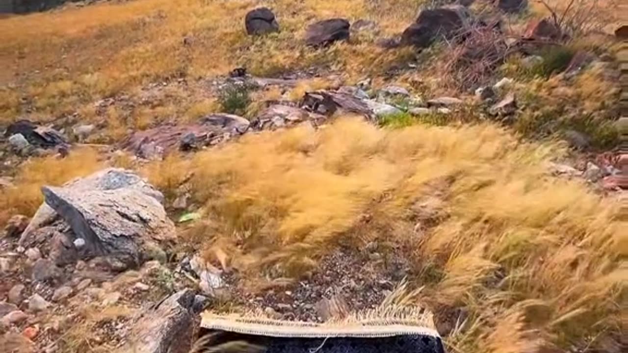 Makkah Beautifull Video♥️
