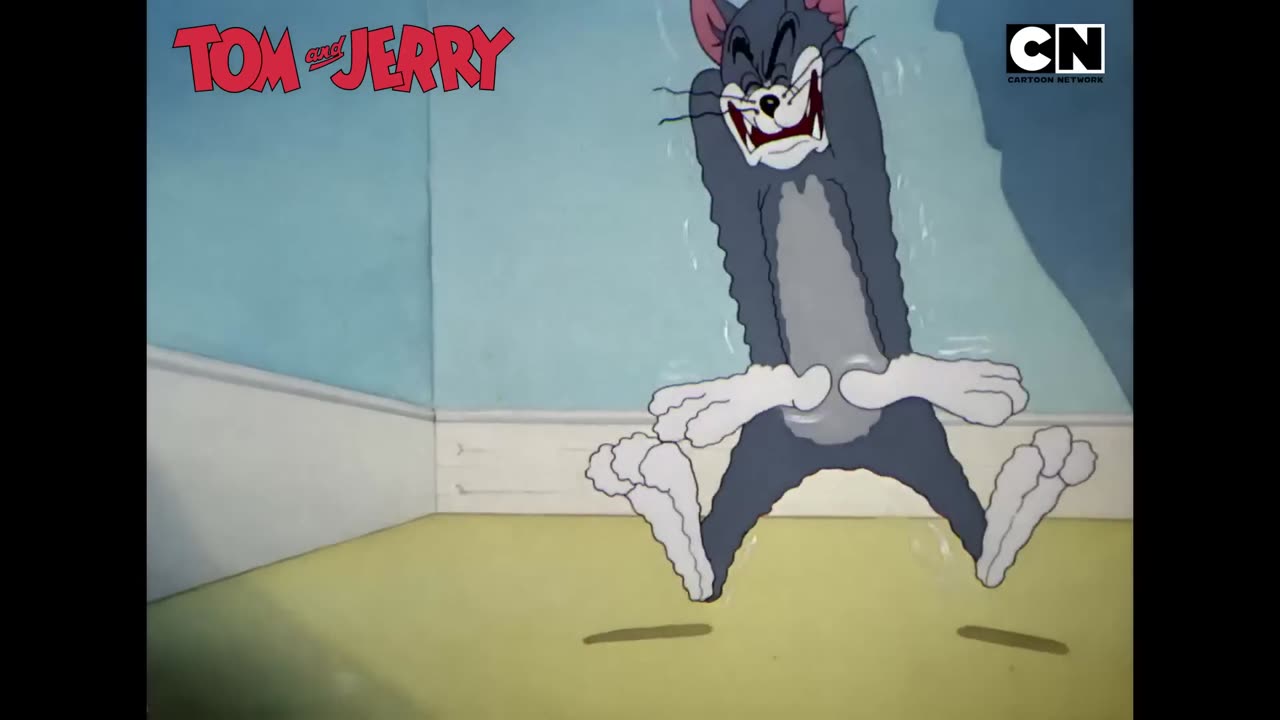 Tom & Jerry 😺🐭- World Teacher's Day - Chaos Class In Session! 😆- Cat and Mouse - @funnymems4u