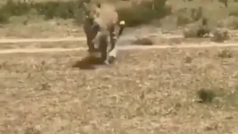 Run