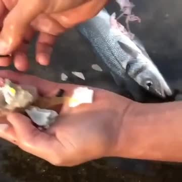 Here are the consequences of plastic pollution 😢😡