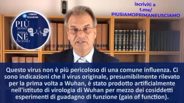 NORIMBERGA 2, avvocato di fama internazionale, Reiner Fuellmich riepiloga la FALSA storia del covid