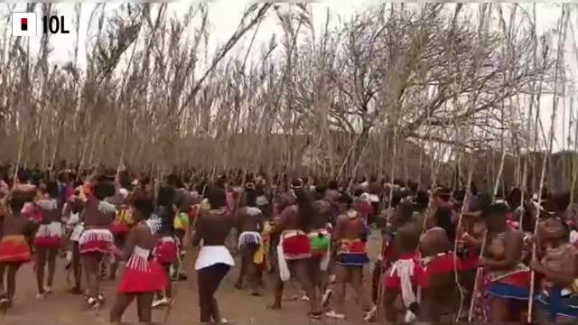 Zulu Maidens placed their Reeds at eNyokeni palace