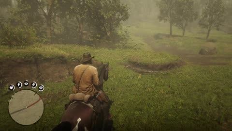 RDR2 - random event (helping a man with dysentery)