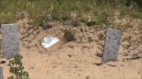 7mm08 Steel & Tannerite