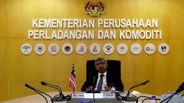 Palm oil protests hinder sustainability drive: planters