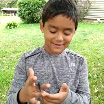 Noah's Lesson On The Blue Spotted Salamander