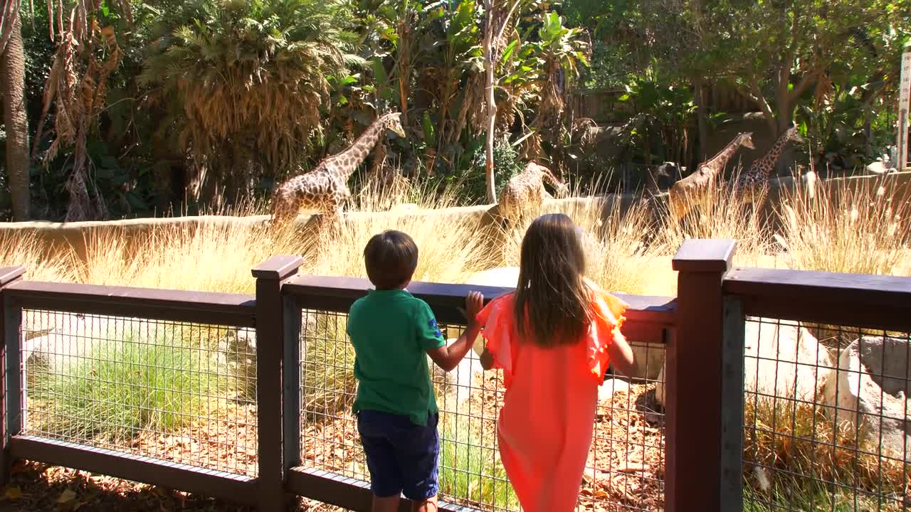 Brother and Sister at the Giraffes