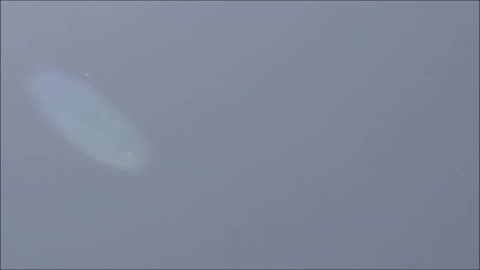 IDENTIFIED Barbell UFO ET Drones Over Adelaide 9 to 11 August 2022