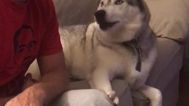 Husky success