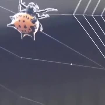 Sights You Rarely Find