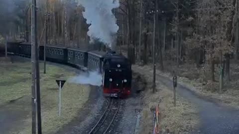 Dampfzug im Zittauer Gebirge