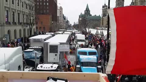 Ottawa Saturday Afternoon Insurrection