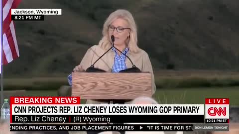 Liz Cheney Compares Herself to Abraham Lincoln After Voters End Her Family's Political Dynasty