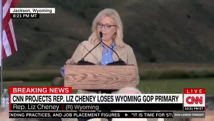 Liz Cheney Compares Herself to Abraham Lincoln After Voters End Her Family's Political Dynasty