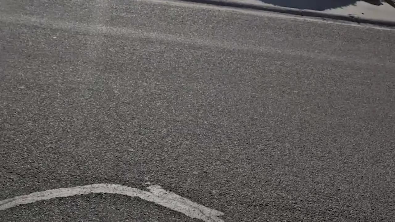 Woman Saves Ducklings From Storm Drain