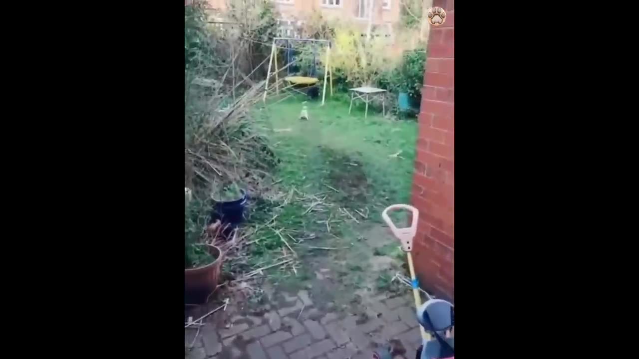 Funny