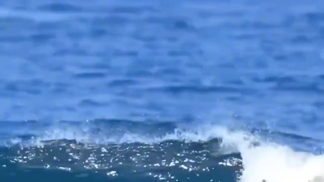 live earth-shattering, I wish natural and unrestrained walk back extreme sports