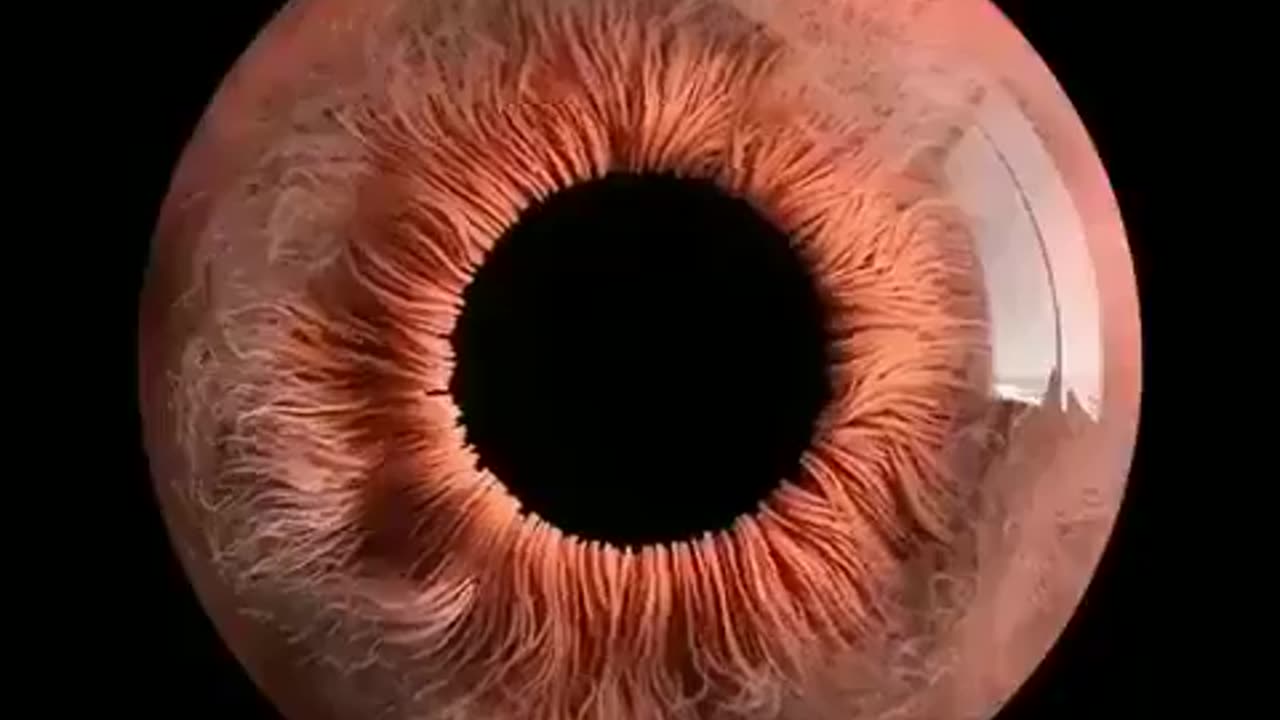 This is your eye under microscope 🔬