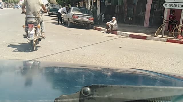 كلاب الضالة