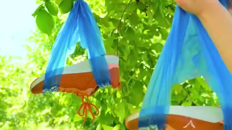 Amazing tips for your next camping adventure