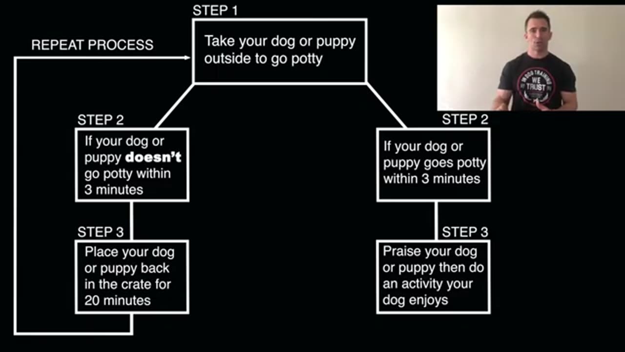 Everything you Need to Know to EASILY Potty Train Your Dog or Puppy