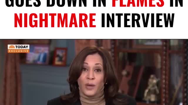 Kamala Harris Goes Down In Flames In Nightmare Interview LOL